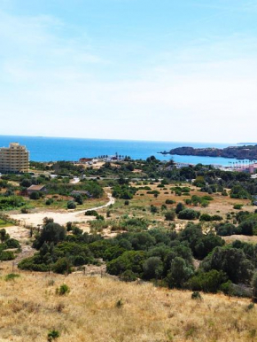 Vau Beach and Moutain